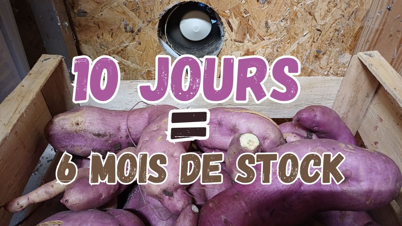 Le secret que 99 % des jardiniers ignorent : le curing