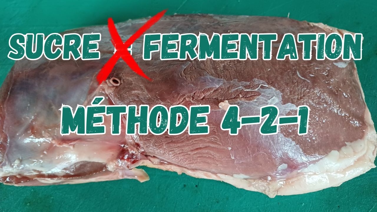 Salaison sous vide méthode 4-2-1 : ce que personne n'explique vraiment