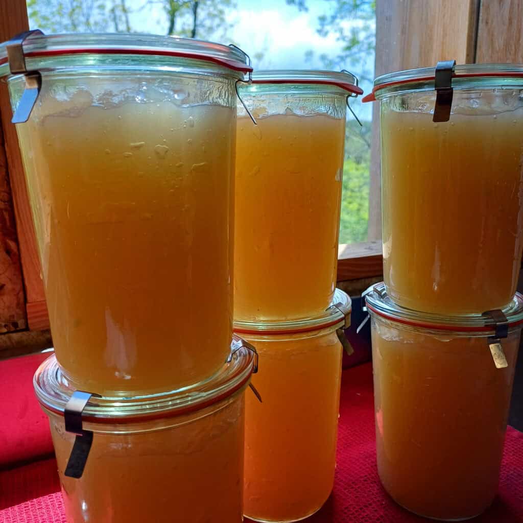 Pots Weck de bouillon d'os maison