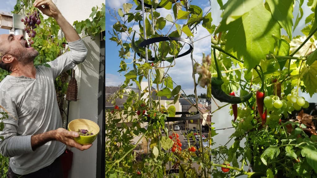 Produire plus avec moins