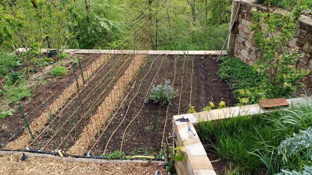 Le potager ne va pas améliorer votre autonomie alimentaire