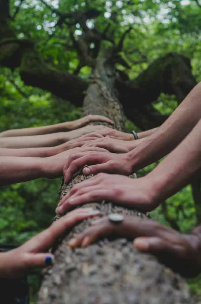 Rejoindre communauté pleine terre