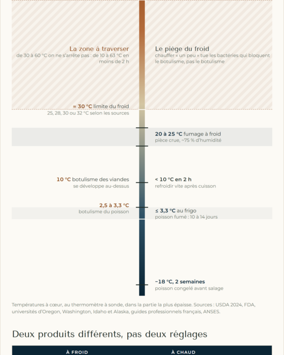 Infographie fumage à froid et à chaud : températures à cœur, seuils du botulisme, zone à traverser et différences entre pièce crue et pièce cuite