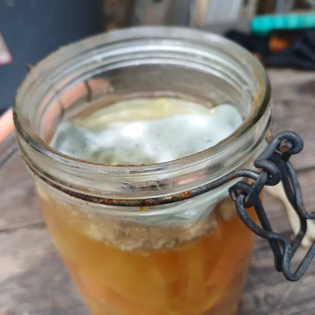 Bocal de légumes lactofermentés couvert d’une couche de moisissure en surface