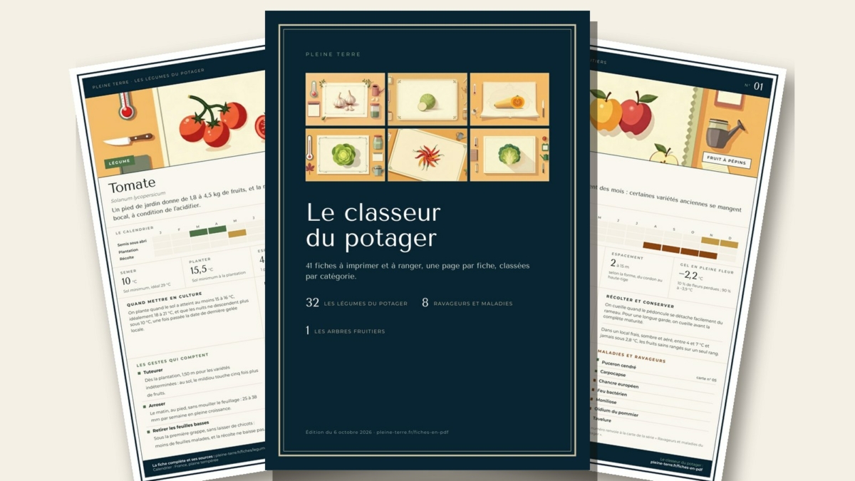 Le classeur du potager : la couverture et deux cartes, la tomate et le pommier
